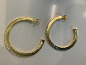 Elisa Hoops