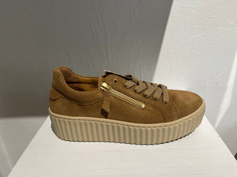Gabor platform